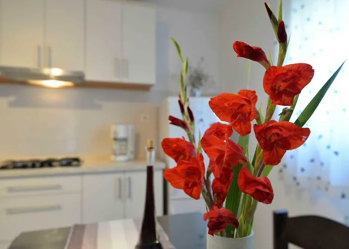 Miracle Appartamento